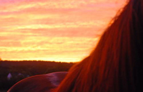 Villa Maud - Foto 33