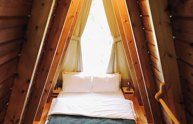 Natural Life Bungalows Sapanca - Photo 8