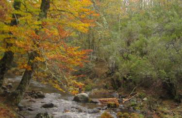 Alojamientos El Horno - Foto 68