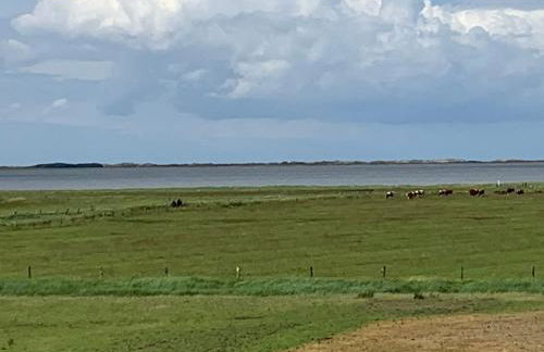 Stüürmanns Huus - Foto 29