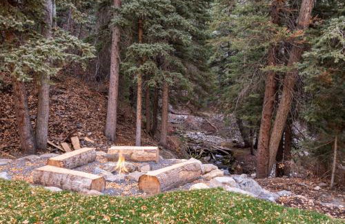 Pont de Rêves: Luxe Sundance Riverfront Chateau - Foto 48