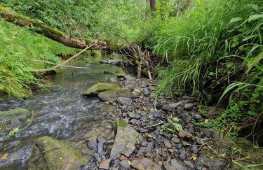 Bieszczady ClaraArt - Foto 24