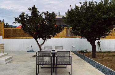 Arion Aegli - Foto 45