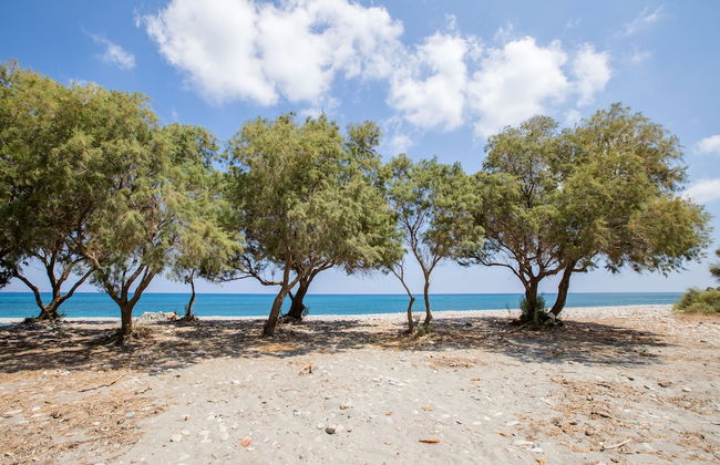 Aadonis Villa - Foto 31