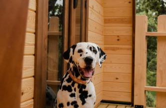 CORK VALLEY - Pet Friendly & Only Adults - Foto 11