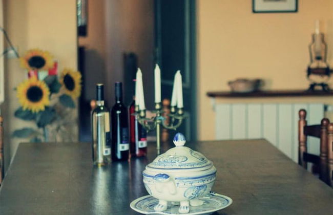 Mas Gelamà - Foto 20