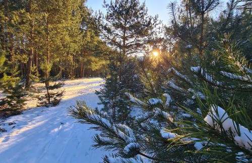 Domek pod Lasem - Foto 39