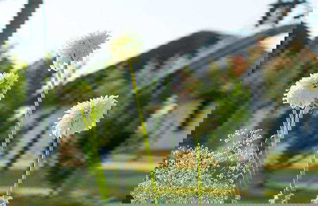 Ardea Purpurea Lodge - Photo 4