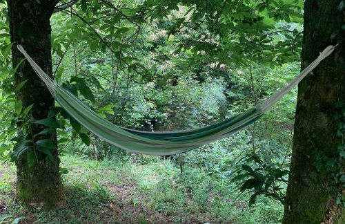 the nest ~ Your best rest - Foto 40