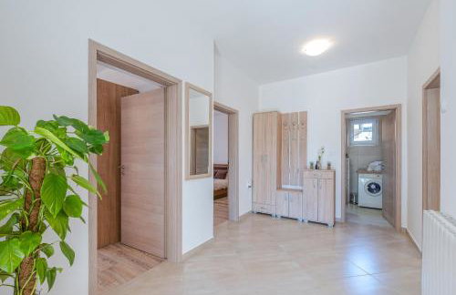 Apartman Tea - Photo 13