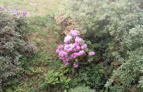 Ferienwohnung Schmallenberg - Foto 38