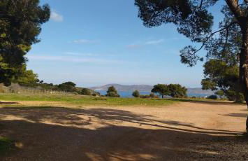 STONE of KAMARIZA - Foto 38