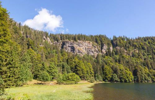 Haus Panoramablick - Fewo Alpenblick, Höchenschwand - Foto 13