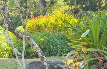 Tranquil 4 bedroom - Foto 16