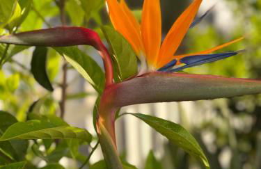 VILLA GIORGIA - Foto 12