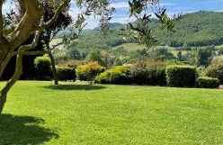 Incantevole Mugello - Foto 12