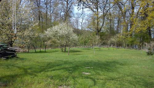 Ferienwohnungen 3 Birken - Foto 3