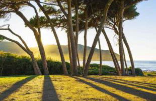 Relax a Baratti -Populonia PIOMBINO - Foto 38