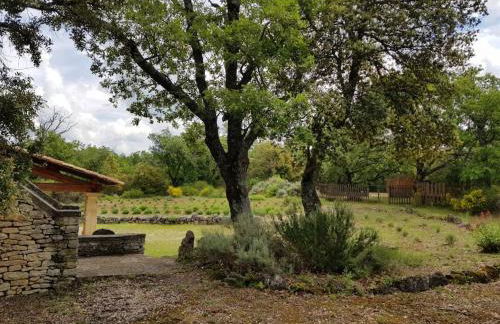 Maison de caractère dans Luberon avec piscine - Foto 41