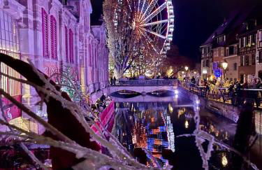Vignes & Tropiques - Terrasse - Wifi - Clim - Parking - Photo 46