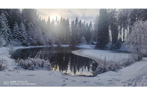Ferienhaus in Möhrenbach über 2 Etagen - Foto 38
