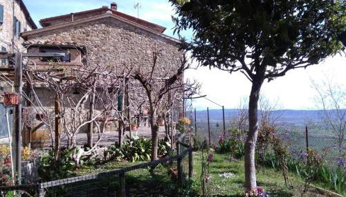 House with stunning views - Foto 2, Garden view