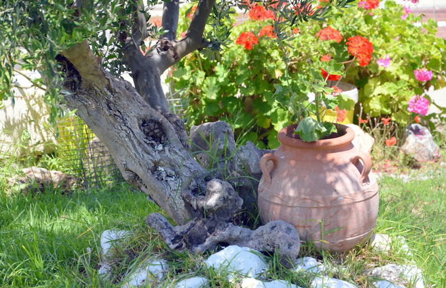 Manos Apartments - Photo 55