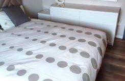 Regina del Bosco della vicina Cavalese - Foto 13