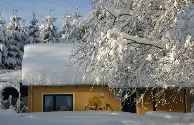 Apartment in Saxony With Terrace - Foto 1