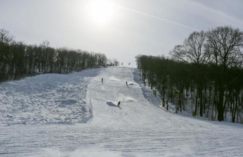 Ski-InandSki-Out! Mountain Creek Resort Condo - Foto 41