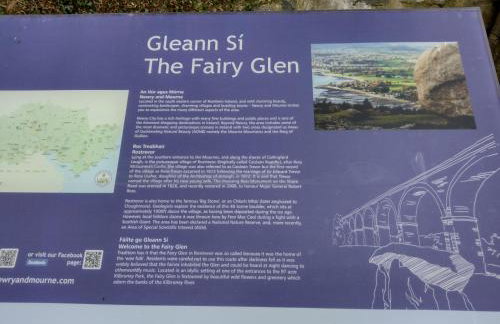 Ryan's Cottage - Photo 36