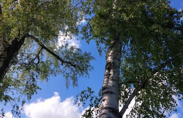 Blumen(t)raum Ferienwohnung 3 - Foto 26