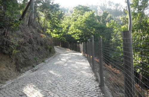 Casa Velha - Foto 19