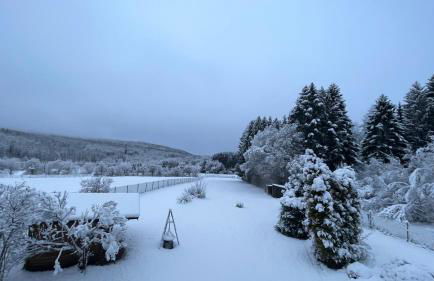 Villa Vorkastell - Foto 26