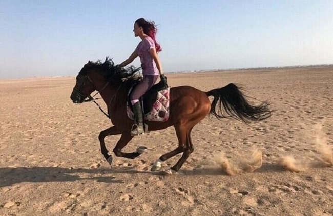 1 hora de equitação no deserto incrível e transferência: Marsa Alam - Foto 12