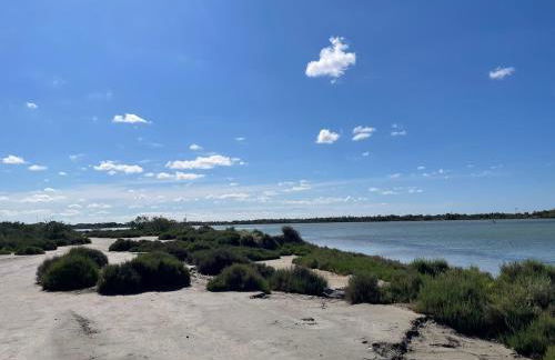 Les pins du Capri - Meublé de tourisme 3 étoiles - Foto 27