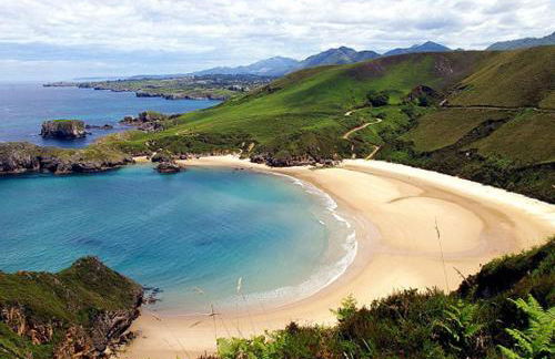 Cangas Popa - Foto 23