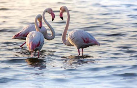 Casa Tartaruga - Foto 38