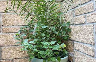 Mulberry House - Morpeth Town Centre - Hot Tub - Foto 18