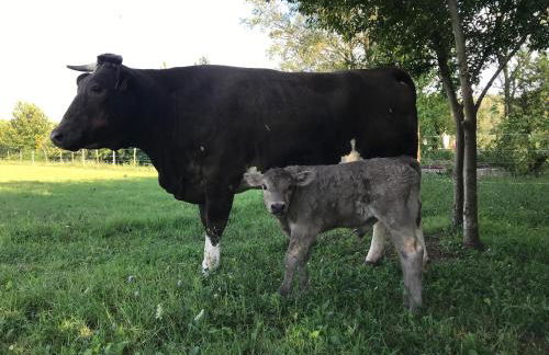 Agriturismo La Montina - Foto 36