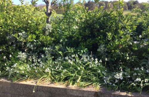 The Annex Rocket cottage - Foto 13