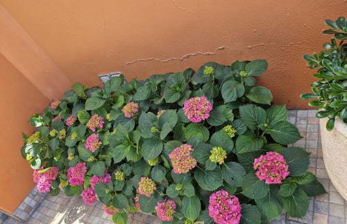 Herdade Monte Gordo - Foto 11