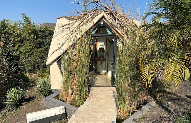 Bosque Geométrico - Photo 31