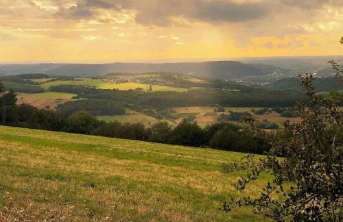 Apartment in Pellingen near Trier & Nature Park - Foto 21