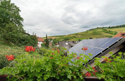 Ferienwohnung Hörth - Foto 49