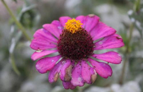 Chalé Toca do Vento com Ar Condicionado, Centro, Cavalcante - Foto 22