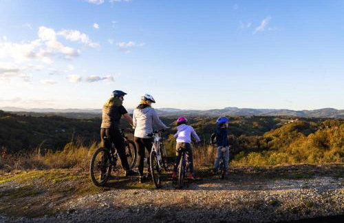 Old house by the stream - Photo 71