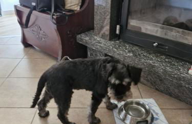 Apartment Cà Dai Noni - Family & Pet Friendly - Terrace - Near Lake Maggiore - Foto 54