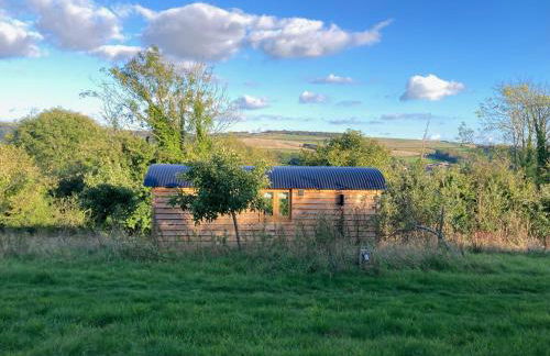 Owls Nest - Shepherds Hut Alfriston - Foto 1