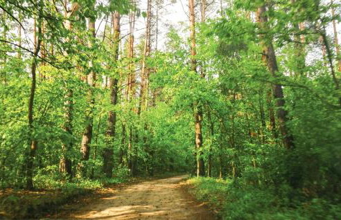 Holiday Home Morag Kretowiny Iii - Foto 8